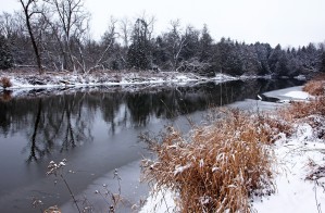Touch Of Winter